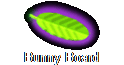 Bunny Board