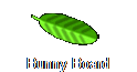 Bunny Board