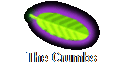 The Crumbs